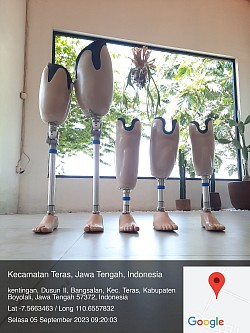 kaki palsu gratis