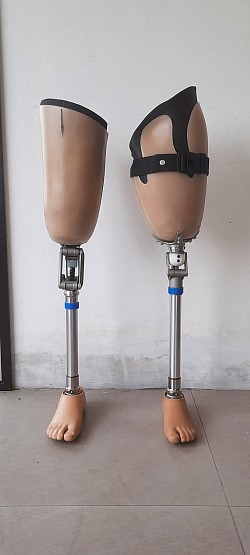 kaki palsu atas lutut import